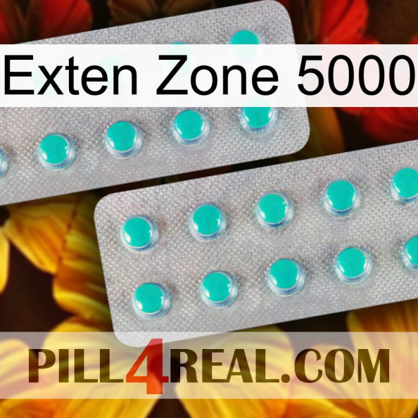 Exten Zone 5000 29.jpg